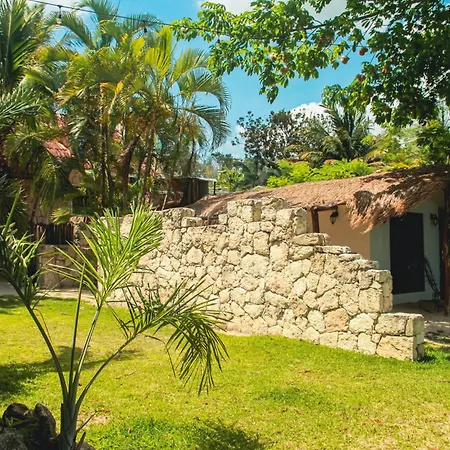 Tortuga Bacalar-2