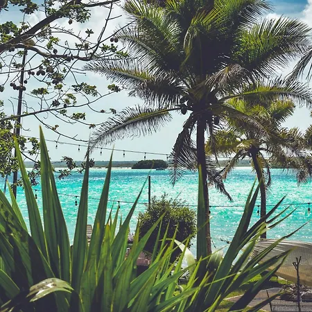 Tortuga Bacalar-3
